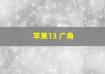 苹果13 广角